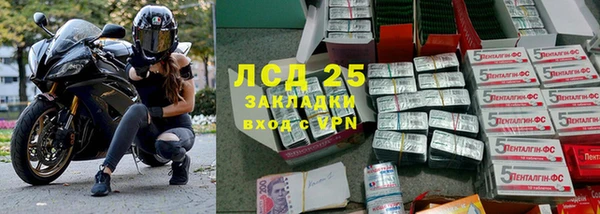 эйфоретик Вяземский