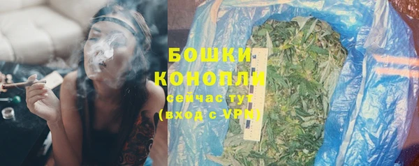 эйфоретик Вяземский